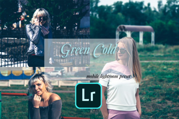 Download Green Cold Fashion Lightroom Preset - Premium Resources